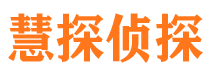 嘉陵市私家侦探